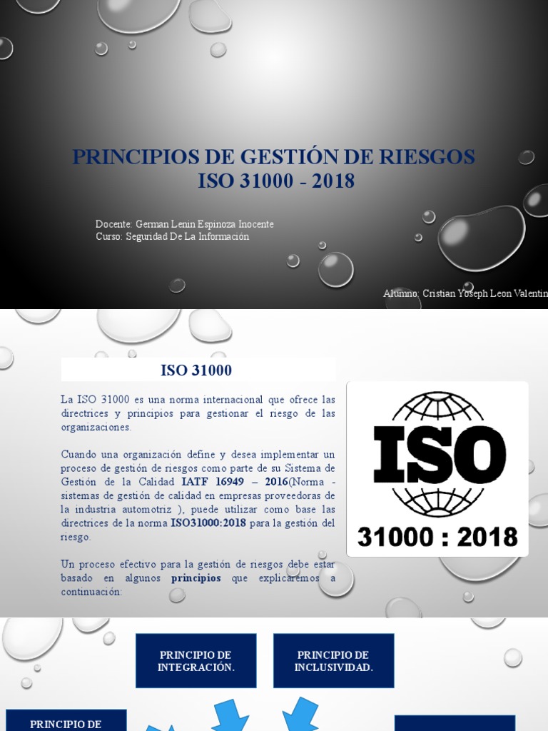 Principios de ISO 31000 para Gestión de Riesgos | PDF | Gestión de la ...