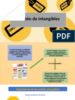 GESTION DE INTANGIBLES