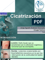 Cicatrización