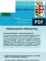 Pedagogía Prenatal Diapositiva