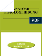 Anatomi Dan Fisiologi Hidung