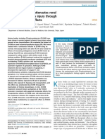 Hydroxybutyrate Attenuates Renal Ischemia-Reperfusion Injury Through Its Anti-Pyroptotic Effects