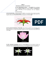 Tema 4 Reproduccion de Las Plantas