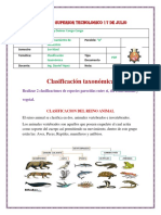 Clasificacion Taxonomica