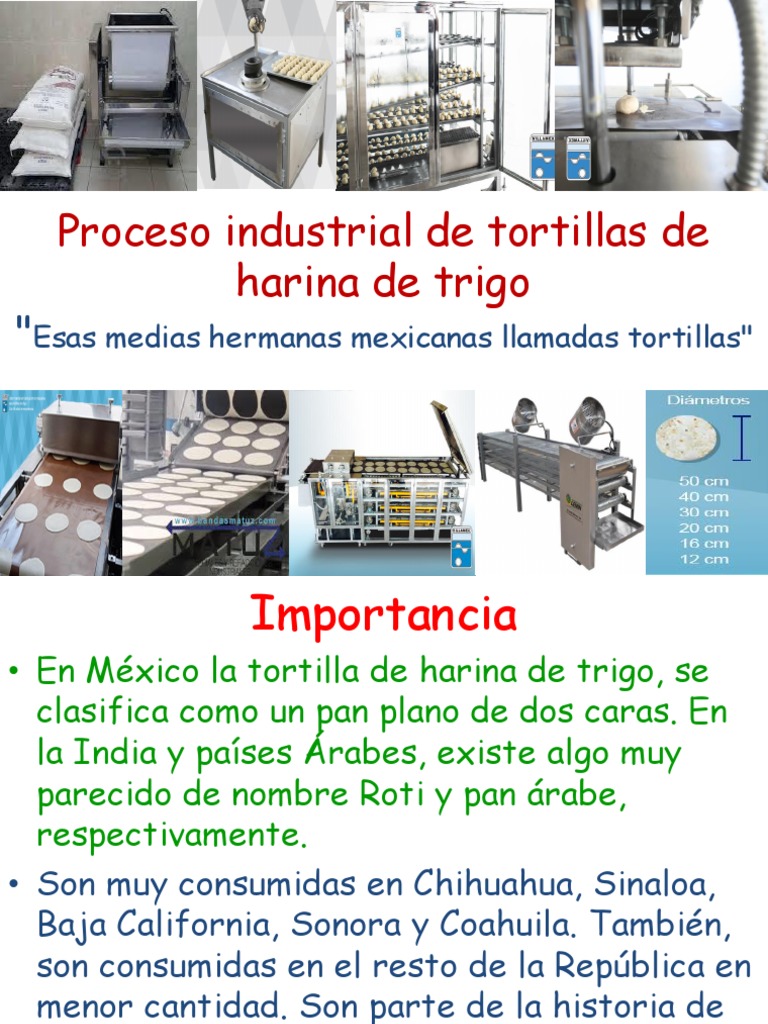 Proceso de Tortillas HT | PDF | Panes | Trigo