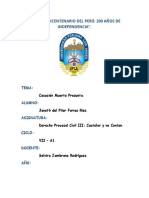 Derecho Procesal Civil - Semana 13