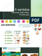 Clase 14 -1°- CUIDANDO LOS SENTIDOS