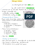 Adrenaline secreting cells of the adrenal medulla