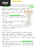 Auditory Auditory: Hearing