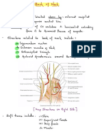 Back of Neck Anatomy