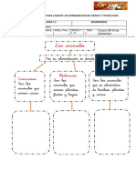 FICHAS DE CIENCIA Y TECNOLOGÍA-Animales