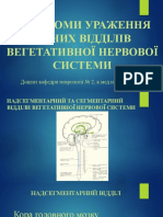 Надсегментарний та сегментарний відділи нс