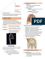 Clase 3 APARATO CARDIOVASCULAR