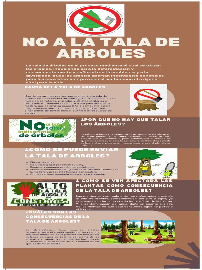 Infografia | PDF | Deforestación | Arboles