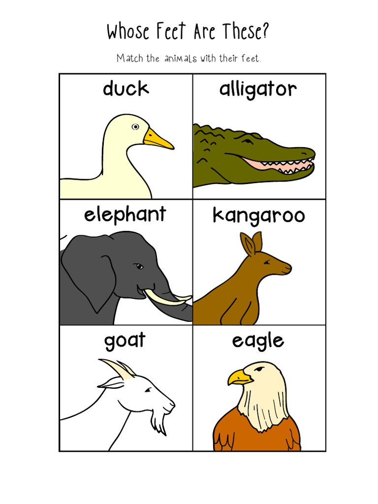 Animal Foot Matching Activity | PDF