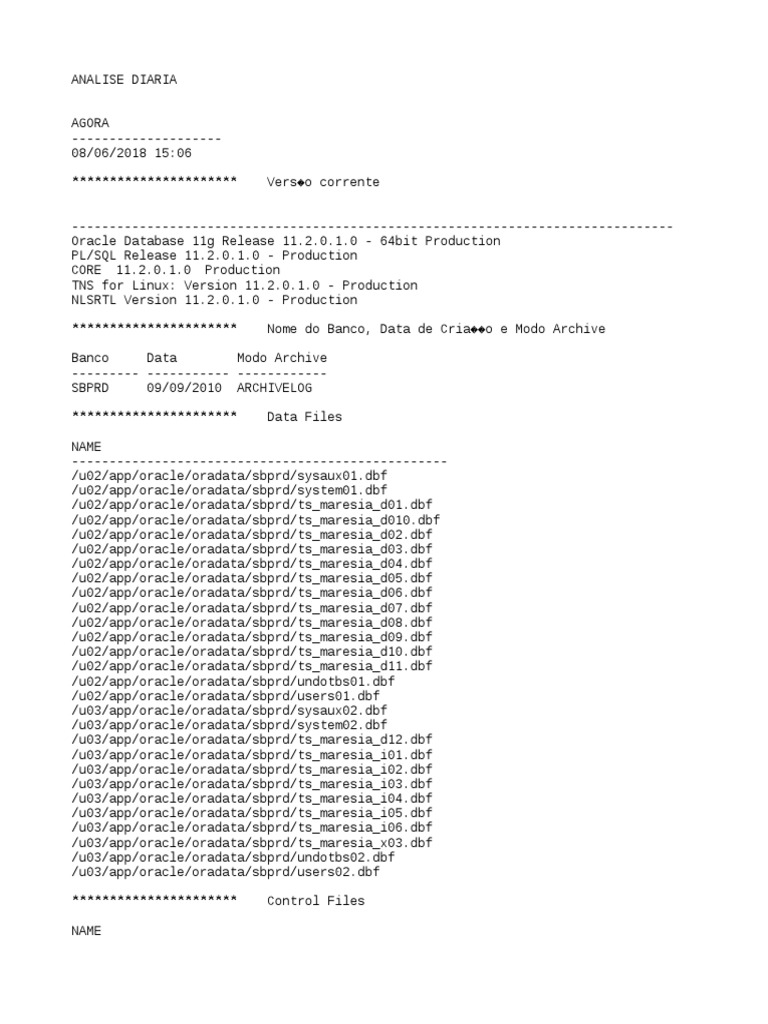 Oracle Database Daily Analysis Report | PDF | Oracle Database | Software