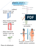 Planos, eixos e movimentos do corpo