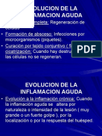 3 Inflamación Cronica