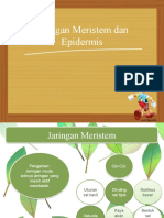 Biologi (Jaringan Meristem Dan Epidermis)