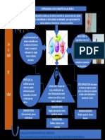 Comprendiendo El Nuevo Concepto de Salud Positiva