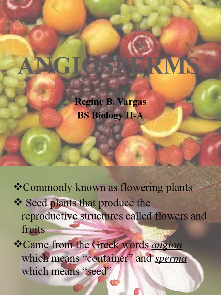 Understanding Angiosperms: Flowers, Fruits, Seeds | PDF | Science ...