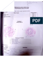 Lembar Kerja Organ Reproduktif Wanita - Paul Behring Manurung-200100120 Praktikum Histologi