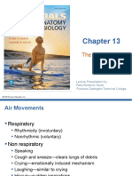 The Respiratory System: Lecture Presentation by Patty Bostwick-Taylor Florence-Darlington Technical College