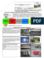 Ficha 1 Royecto Huerta Casera