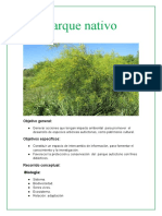 Proyecto Parque Nativo