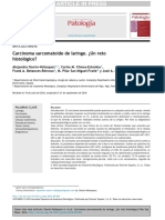 Patología: Carcinoma Sarcomatoide de Laringe. ¿Un Reto Histológico?