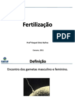 3- FINAL Fertilização