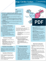 Anatomy & Physiology Cardiac System