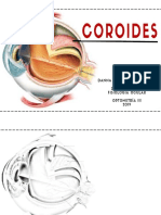 Anatomía y función de la coroides