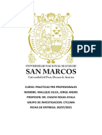 Informe Parcial de Practicas Pre-Profesioanles-Mallque Silva, Jorge Andre