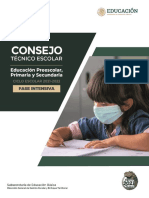 3. Guía CTE Fase Intensiva Preescolar, Primaria y Secundaria