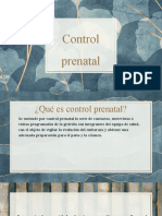 Control Prenatal y Muestras
