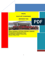 PROFIL BLUD Upt PKM br3