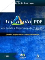 TRIANGULAÇÃO-EM-SST - VOL.-06
