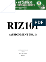 Assignment 1 (Riz101)