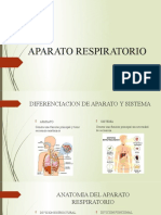 Aparato Respiratorio