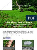 Krishi Vigyan Kendra, Kiphire: ICAR For NEH Region, Nagaland Centre Kiphire, Nagaland