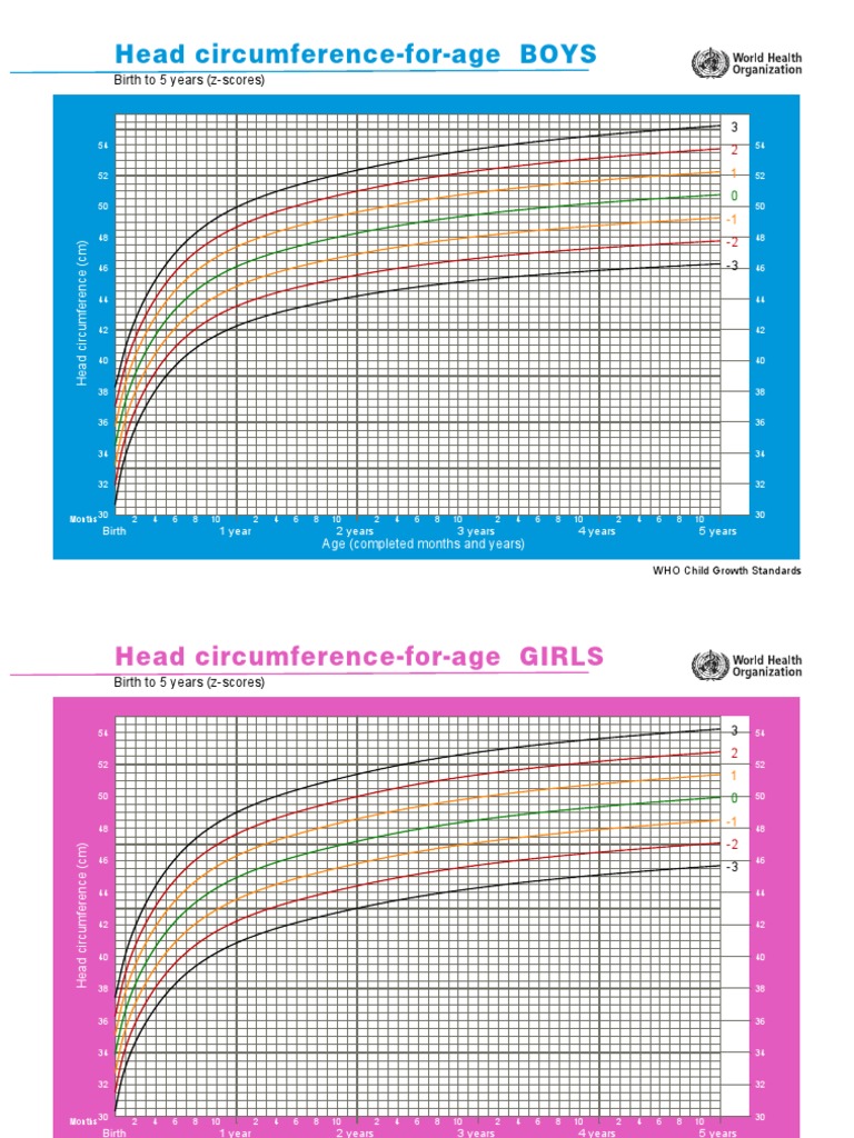 Head Circumference-For-Age BOYS: Birth To 5 Years (Z-Scores) | PDF