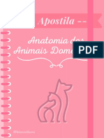 Apostila Anatomia Veterinária Completa Ilustrada e Detalhada