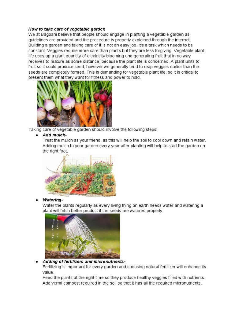 2 How To Care For Vegetable Garden PDF Vegetables Mulch