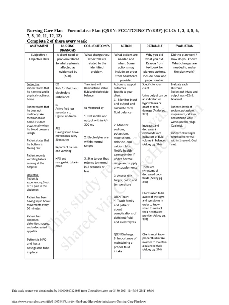 Risk For Fluid and Electrolyte Imbalances Nursing Care Plan | PDF 