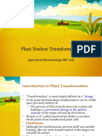 Plant Nuclear Transformation