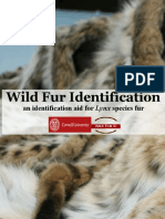 Wild Fur Identification An Identification Aid For Lynx Species Fur
