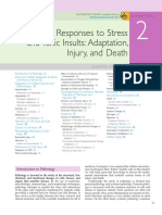 Cellular Responses To Stress and Toxic Insults: Adaptation, Injury, and Death