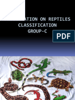 Presentation On Reptiles Classification Group-C