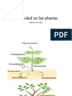 Toxicidad en Las Plantas